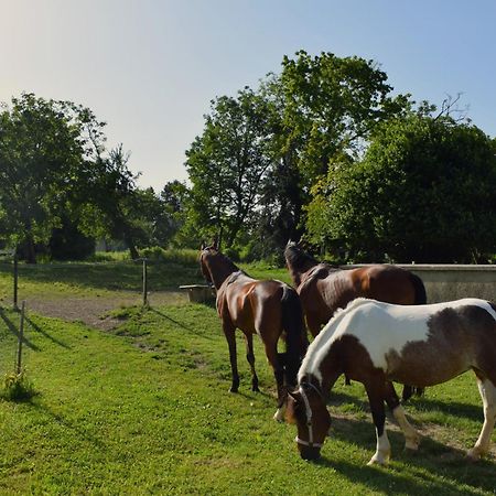 Farm Stay Zevnik Brežice Esterno foto