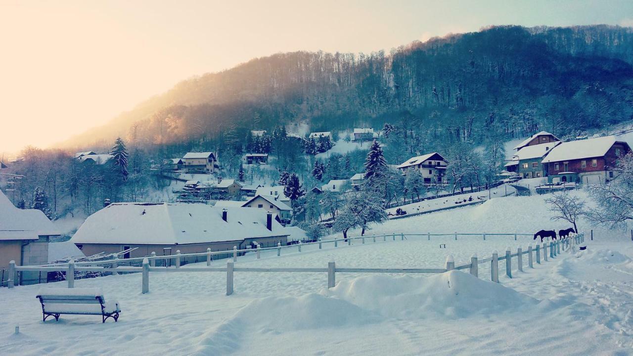 Farm Stay Zevnik Brežice Esterno foto