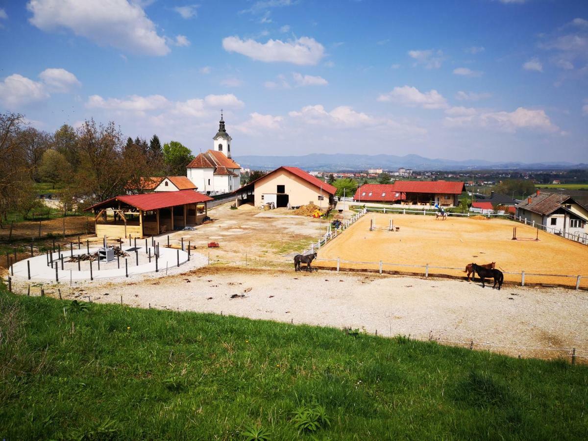 Farm Stay Zevnik Brežice Esterno foto